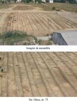 Cronica Cercetărilor Arheologice din România, Campania 2003. Raportul nr. 113, Mangalia<br /><a href='CronicaCAfotografii/2003/113/Mangalia-ANL-6.jpg' target=_blank>Priveşte aceeaşi imagine într-o fereastră nouă</a>