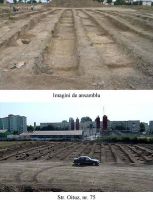 Cronica Cercetărilor Arheologice din România, Campania 2003. Raportul nr. 113, Mangalia<br /><a href='CronicaCAfotografii/2003/113/Mangalia-ANL-7.jpg' target=_blank>Priveşte aceeaşi imagine într-o fereastră nouă</a>