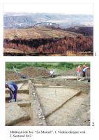 Cronica Cercetărilor Arheologice din România, Campania 2003. Raportul nr. 118, Mălăeştii De Jos, La Mornel<br /><a href='CronicaCAfotografii/2003/118/malaiestii-de-jos-la-mornel.JPG' target=_blank>Priveşte aceeaşi imagine într-o fereastră nouă</a>