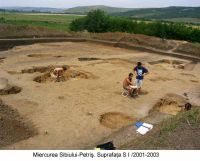 Chronicle of the Archaeological Excavations in Romania, 2003 Campaign. Report no. 124, Miercurea Sibiului, Petriş<br /><a href='CronicaCAfotografii/2003/124/miercurea-sibiului-petris-1.jpg' target=_blank>Display the same picture in a new window</a>