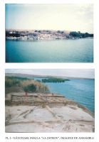 Cronica Cercetărilor Arheologice din România, Campania 2003. Raportul nr. 130, Năvodari, La Ostrov (Lacul Taşaul)<br /><a href='CronicaCAfotografii/2003/130/navodari-tasaul-pl-1.jpg' target=_blank>Priveşte aceeaşi imagine într-o fereastră nouă</a>