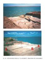 Cronica Cercetărilor Arheologice din România, Campania 2003. Raportul nr. 130, Năvodari, La Ostrov (Lacul Taşaul)<br /><a href='CronicaCAfotografii/2003/130/navodari-tasaul-pl-2.jpg' target=_blank>Priveşte aceeaşi imagine într-o fereastră nouă</a>