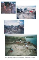Cronica Cercetărilor Arheologice din România, Campania 2003. Raportul nr. 130, Năvodari, La Ostrov (Lacul Taşaul)<br /><a href='CronicaCAfotografii/2003/130/navodari-tasaul-pl-6.jpg' target=_blank>Priveşte aceeaşi imagine într-o fereastră nouă</a>