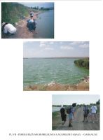 Cronica Cercetărilor Arheologice din România, Campania 2003. Raportul nr. 130, Năvodari, La Ostrov (Lacul Taşaul)<br /><a href='CronicaCAfotografii/2003/130/navodari-tasaul-pl-7.jpg' target=_blank>Priveşte aceeaşi imagine într-o fereastră nouă</a>