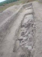 Cronica Cercetărilor Arheologice din România, Campania 2003. Raportul nr. 134, Oltina, Capu Dealului<br /><a href='CronicaCAfotografii/2003/134/oltina-capu-dealului-3.jpg' target=_blank>Priveşte aceeaşi imagine într-o fereastră nouă</a>