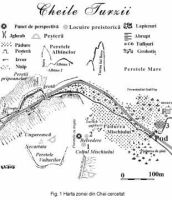 Cronica Cercetărilor Arheologice din România, Campania 2003. Raportul nr. 139, Petreştii De Jos, Dealul lui Horna<br /><a href='CronicaCAfotografii/2003/139/petrestii-de-jos-1.jpg' target=_blank>Priveşte aceeaşi imagine într-o fereastră nouă</a>