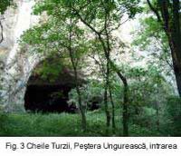 Cronica Cercetărilor Arheologice din România, Campania 2003. Raportul nr. 139, Petreştii De Jos, Dealul lui Horna<br /><a href='CronicaCAfotografii/2003/139/petrestii-de-jos-3.jpg' target=_blank>Priveşte aceeaşi imagine într-o fereastră nouă</a>