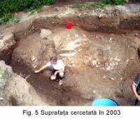 Cronica Cercetărilor Arheologice din România, Campania 2003. Raportul nr. 139, Petreştii De Jos, Dealul lui Horna<br /><a href='CronicaCAfotografii/2003/139/petrestii-de-jos-5.jpg' target=_blank>Priveşte aceeaşi imagine într-o fereastră nouă</a>