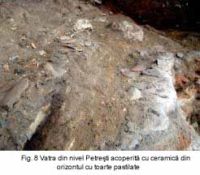 Cronica Cercetărilor Arheologice din România, Campania 2003. Raportul nr. 139, Petreştii De Jos, Dealul lui Horna<br /><a href='CronicaCAfotografii/2003/139/petrestii-de-jos-8-a.jpg' target=_blank>Priveşte aceeaşi imagine într-o fereastră nouă</a>