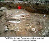 Cronica Cercetărilor Arheologice din România, Campania 2003. Raportul nr. 139, Petreştii De Jos, Dealul lui Horna<br /><a href='CronicaCAfotografii/2003/139/petrestii-de-jos-8-b.jpg' target=_blank>Priveşte aceeaşi imagine într-o fereastră nouă</a>