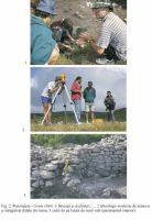 Cronica Cercetărilor Arheologice din România, Campania 2003. Raportul nr. 141, Pietroasa Mică, Gruiu Dării<br /><a href='CronicaCAfotografii/2003/141/Pietroasele-2.jpg' target=_blank>Priveşte aceeaşi imagine într-o fereastră nouă</a>