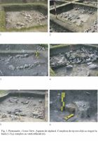 Cronica Cercetărilor Arheologice din România, Campania 2003. Raportul nr. 141, Pietroasa Mică, Gruiu Dării<br /><a href='CronicaCAfotografii/2003/141/Pietroasele-3.jpg' target=_blank>Priveşte aceeaşi imagine într-o fereastră nouă</a>