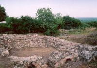 Chronicle of the Archaeological Excavations in Romania, 2003 Campaign. Report no. 142, Pietroasele, Staţiunea de Cercetări Viti-Vinicole Pietroasa (SCV Pietroasa)<br /><a href='CronicaCAfotografii/2003/142/pietroasele-sala-b.jpg' target=_blank>Display the same picture in a new window</a>