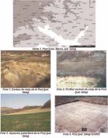 Chronicle of the Archaeological Excavations in Romania, 2003 Campaign. Report no. 149, Porţ, Sub Pădurea Jidovului (Autostrada Transilvania, sector 3 C, km. 4+800-4+900)<br /><a href='CronicaCAfotografii/2003/149/port-padurea-jidovilor-doc-1.jpg' target=_blank>Display the same picture in a new window</a>