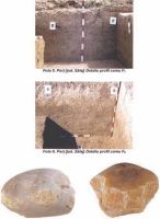 Chronicle of the Archaeological Excavations in Romania, 2003 Campaign. Report no. 149, Porţ, Sub Pădurea Jidovului (Autostrada Transilvania, sector 3 C, km. 4+800-4+900)<br /><a href='CronicaCAfotografii/2003/149/port-padurea-jidovilor-doc-2.jpg' target=_blank>Display the same picture in a new window</a>