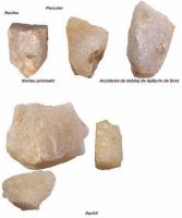 Chronicle of the Archaeological Excavations in Romania, 2003 Campaign. Report no. 149, Porţ, Sub Pădurea Jidovului (Autostrada Transilvania, sector 3 C, km. 4+800-4+900)<br /><a href='CronicaCAfotografii/2003/149/port-padurea-jidovilor-doc-3.jpg' target=_blank>Display the same picture in a new window</a>