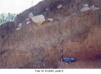 Chronicle of the Archaeological Excavations in Romania, 2003 Campaign. Report no. 153, Rapoltu Mare, Măgura Uroiului (Arany Hegy)<br /><a href='CronicaCAfotografii/2003/153/rapoltu-mare-magura-uroiului-10.jpg' target=_blank>Display the same picture in a new window</a>