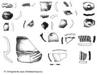 Chronicle of the Archaeological Excavations in Romania, 2003 Campaign. Report no. 153, Rapoltu Mare, Măgura Uroiului (Arany Hegy)<br /><a href='CronicaCAfotografii/2003/153/rapoltu-mare-magura-uroiului-pl-3.jpg' target=_blank>Display the same picture in a new window</a>