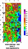 Cronica Cercetărilor Arheologice din România, Campania 2003. Raportul nr. 165, Roşia Montană, La Hop-Găuri<br /><a href='CronicaCAfotografii/2003/165/rosia-montana-taul-secuilor-harta-magneto-sector-d.jpg' target=_blank>Priveşte aceeaşi imagine într-o fereastră nouă</a>