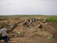 Cronica Cercetărilor Arheologice din România, Campania 2003. Raportul nr. 173, Scânteia, La Nuci (Dealul Bodeştilor).<br /> Sectorul Rezerve.<br /><a href='CronicaCAfotografii/2003/173/scanteia-dealul-bodestilor-1.jpg' target=_blank>Priveşte aceeaşi imagine într-o fereastră nouă</a>