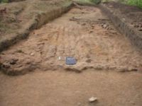 Cronica Cercetărilor Arheologice din România, Campania 2003. Raportul nr. 173, Scânteia, La Nuci (Dealul Bodeştilor).<br /> Sectorul Rezerve.<br /><a href='CronicaCAfotografii/2003/173/scanteia-dealul-bodestilor-5.jpg' target=_blank>Priveşte aceeaşi imagine într-o fereastră nouă</a>