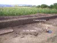 Cronica Cercetărilor Arheologice din România, Campania 2003. Raportul nr. 173, Scânteia, La Nuci (Dealul Bodeştilor).<br /> Sectorul Rezerve.<br /><a href='CronicaCAfotografii/2003/173/scanteia-dealul-bodestilor-7.jpg' target=_blank>Priveşte aceeaşi imagine într-o fereastră nouă</a>