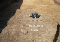 Cronica Cercetărilor Arheologice din România, Campania 2003. Raportul nr. 173, Scânteia, La Nuci (Dealul Bodeştilor).<br /> Sectorul Rezerve.<br /><a href='CronicaCAfotografii/2003/173/scanteia-dealul-bodestilor-8.jpg' target=_blank>Priveşte aceeaşi imagine într-o fereastră nouă</a>