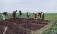 Chronicle of the Archaeological Excavations in Romania, 2003 Campaign. Report no. 177, Siret, Dealul Ruina<br /><a href='CronicaCAfotografii/2003/177/siret-dealul-ruina-c.JPG' target=_blank>Display the same picture in a new window</a>