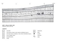 Cronica Cercetărilor Arheologice din România, Campania 2003. Raportul nr. 177, Siret, Dealul Ruina<br /><a href='CronicaCAfotografii/2003/177/siret-dealul-ruina-p.jpg' target=_blank>Priveşte aceeaşi imagine într-o fereastră nouă</a>