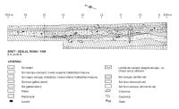 Chronicle of the Archaeological Excavations in Romania, 2003 Campaign. Report no. 177, Siret, Dealul Ruina<br /><a href='CronicaCAfotografii/2003/177/siret-dealul-ruina-r.jpg' target=_blank>Display the same picture in a new window</a>