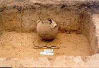 Cronica Cercetărilor Arheologice din România, Campania 2003. Raportul nr. 180, Stelnica, Grădiştea Mare<br /><a href='CronicaCAfotografii/2003/180/stelnica-gradistea-mare-fig-4.jpg' target=_blank>Priveşte aceeaşi imagine într-o fereastră nouă</a>