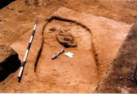 Cronica Cercetărilor Arheologice din România, Campania 2003. Raportul nr. 180, Stelnica, Grădiştea Mare<br /><a href='CronicaCAfotografii/2003/180/stelnica-gradistea-mare-fig-5.jpg' target=_blank>Priveşte aceeaşi imagine într-o fereastră nouă</a>