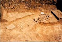 Cronica Cercetărilor Arheologice din România, Campania 2003. Raportul nr. 180, Stelnica, Grădiştea Mare<br /><a href='CronicaCAfotografii/2003/180/stelnica-gradistea-mare-fig-6.jpg' target=_blank>Priveşte aceeaşi imagine într-o fereastră nouă</a>