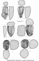 Cronica Cercetărilor Arheologice din România, Campania 2003. Raportul nr. 195, Târgu Frumos, Baza Pătule<br /><a href='CronicaCAfotografii/2003/195/TarguFrumos-006-Pl4.jpg' target=_blank>Priveşte aceeaşi imagine într-o fereastră nouă</a>