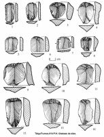 Cronica Cercetărilor Arheologice din România, Campania 2003. Raportul nr. 195, Târgu Frumos, Baza Pătule<br /><a href='CronicaCAfotografii/2003/195/TarguFrumos-010-Pl8.jpg' target=_blank>Priveşte aceeaşi imagine într-o fereastră nouă</a>