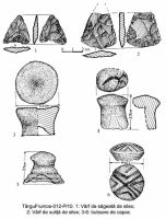 Cronica Cercetărilor Arheologice din România, Campania 2003. Raportul nr. 195, Târgu Frumos, Baza Pătule<br /><a href='CronicaCAfotografii/2003/195/TarguFrumos-012-Pl10.jpg' target=_blank>Priveşte aceeaşi imagine într-o fereastră nouă</a>