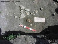 Cronica Cercetărilor Arheologice din România, Campania 2003. Raportul nr. 195, Târgu Frumos, Baza Pătule<br /><a href='CronicaCAfotografii/2003/195/TarguFrumos-013-Fig1.JPG' target=_blank>Priveşte aceeaşi imagine într-o fereastră nouă</a>