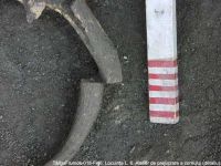 Cronica Cercetărilor Arheologice din România, Campania 2003. Raportul nr. 195, Târgu Frumos, Baza Pătule<br /><a href='CronicaCAfotografii/2003/195/TarguFrumos-018-Fig6.JPG' target=_blank>Priveşte aceeaşi imagine într-o fereastră nouă</a>