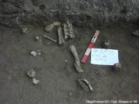 Cronica Cercetărilor Arheologice din România, Campania 2003. Raportul nr. 195, Târgu Frumos, Baza Pătule<br /><a href='CronicaCAfotografii/2003/195/TarguFrumos-021-Fig9.JPG' target=_blank>Priveşte aceeaşi imagine într-o fereastră nouă</a>