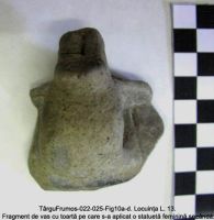 Cronica Cercetărilor Arheologice din România, Campania 2003. Raportul nr. 195, Târgu Frumos, Baza Pătule<br /><a href='CronicaCAfotografii/2003/195/TarguFrumos-022-Fig10b.JPG' target=_blank>Priveşte aceeaşi imagine într-o fereastră nouă</a>