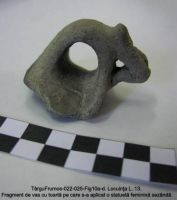 Cronica Cercetărilor Arheologice din România, Campania 2003. Raportul nr. 195, Târgu Frumos, Baza Pătule<br /><a href='CronicaCAfotografii/2003/195/TarguFrumos-024-Fig10c.JPG' target=_blank>Priveşte aceeaşi imagine într-o fereastră nouă</a>