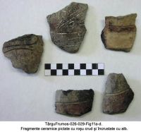 Cronica Cercetărilor Arheologice din România, Campania 2003. Raportul nr. 195, Târgu Frumos, Baza Pătule<br /><a href='CronicaCAfotografii/2003/195/TarguFrumos-026-Fig11a.JPG' target=_blank>Priveşte aceeaşi imagine într-o fereastră nouă</a>
