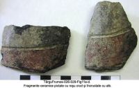 Cronica Cercetărilor Arheologice din România, Campania 2003. Raportul nr. 195, Târgu Frumos, Baza Pătule<br /><a href='CronicaCAfotografii/2003/195/TarguFrumos-028-Fig11c.JPG' target=_blank>Priveşte aceeaşi imagine într-o fereastră nouă</a>