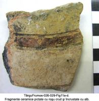 Cronica Cercetărilor Arheologice din România, Campania 2003. Raportul nr. 195, Târgu Frumos, Baza Pătule<br /><a href='CronicaCAfotografii/2003/195/TarguFrumos-029-Fig11d.JPG' target=_blank>Priveşte aceeaşi imagine într-o fereastră nouă</a>