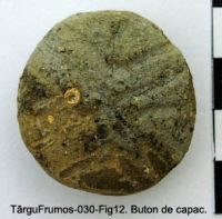 Cronica Cercetărilor Arheologice din România, Campania 2003. Raportul nr. 195, Târgu Frumos, Baza Pătule<br /><a href='CronicaCAfotografii/2003/195/TarguFrumos-030-Fig12.JPG' target=_blank>Priveşte aceeaşi imagine într-o fereastră nouă</a>