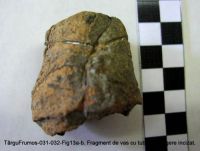 Cronica Cercetărilor Arheologice din România, Campania 2003. Raportul nr. 195, Târgu Frumos, Baza Pătule<br /><a href='CronicaCAfotografii/2003/195/TarguFrumos-031-Fig13a.JPG' target=_blank>Priveşte aceeaşi imagine într-o fereastră nouă</a>