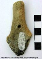 Cronica Cercetărilor Arheologice din România, Campania 2003. Raportul nr. 195, Târgu Frumos, Baza Pătule<br /><a href='CronicaCAfotografii/2003/195/TarguFrumos-033-Fig14a.JPG' target=_blank>Priveşte aceeaşi imagine într-o fereastră nouă</a>