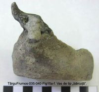 Cronica Cercetărilor Arheologice din România, Campania 2003. Raportul nr. 195, Târgu Frumos, Baza Pătule<br /><a href='CronicaCAfotografii/2003/195/TarguFrumos-035-Fig15a.JPG' target=_blank>Priveşte aceeaşi imagine într-o fereastră nouă</a>