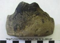 Cronica Cercetărilor Arheologice din România, Campania 2003. Raportul nr. 195, Târgu Frumos, Baza Pătule<br /><a href='CronicaCAfotografii/2003/195/TarguFrumos-038-Fig15d.JPG' target=_blank>Priveşte aceeaşi imagine într-o fereastră nouă</a>