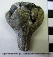 Cronica Cercetărilor Arheologice din România, Campania 2003. Raportul nr. 195, Târgu Frumos, Baza Pătule<br /><a href='CronicaCAfotografii/2003/195/TarguFrumos-043-Fig17.JPG' target=_blank>Priveşte aceeaşi imagine într-o fereastră nouă</a>